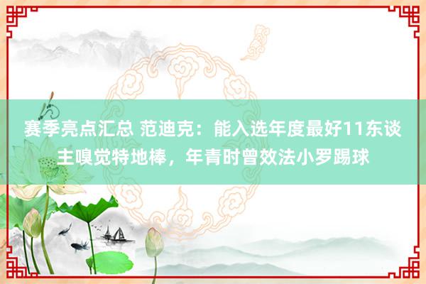 赛季亮点汇总 范迪克：能入选年度最好11东谈主嗅觉特地棒，年青时曾效法小罗踢球