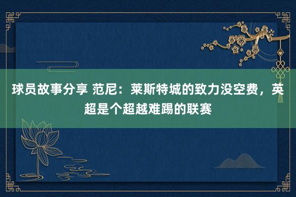 球员故事分享 范尼：莱斯特城的致力没空费，英超是个超越难踢的联赛