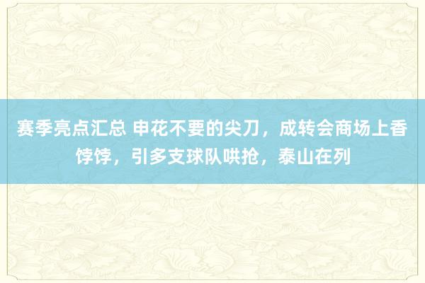 赛季亮点汇总 申花不要的尖刀，成转会商场上香饽饽，引多支球队哄抢，泰山在列